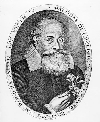 Matthias de l